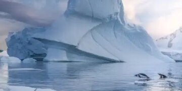 The most important part of protecting the oceans, know what is cryosphere