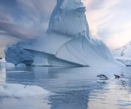 The most important part of protecting the oceans, know what is cryosphere