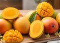 Top Mango Export Demand: Indian mangoes won the hearts of the world, huge demand increased from London to Saudi.
