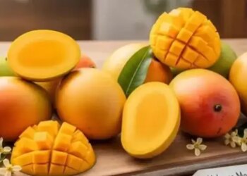 Top Mango Export Demand: Indian mangoes won the hearts of the world, huge demand increased from London to Saudi.
