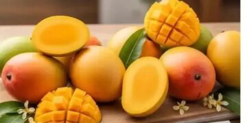 Top Mango Export Demand: Indian mangoes won the hearts of the world, huge demand increased from London to Saudi.