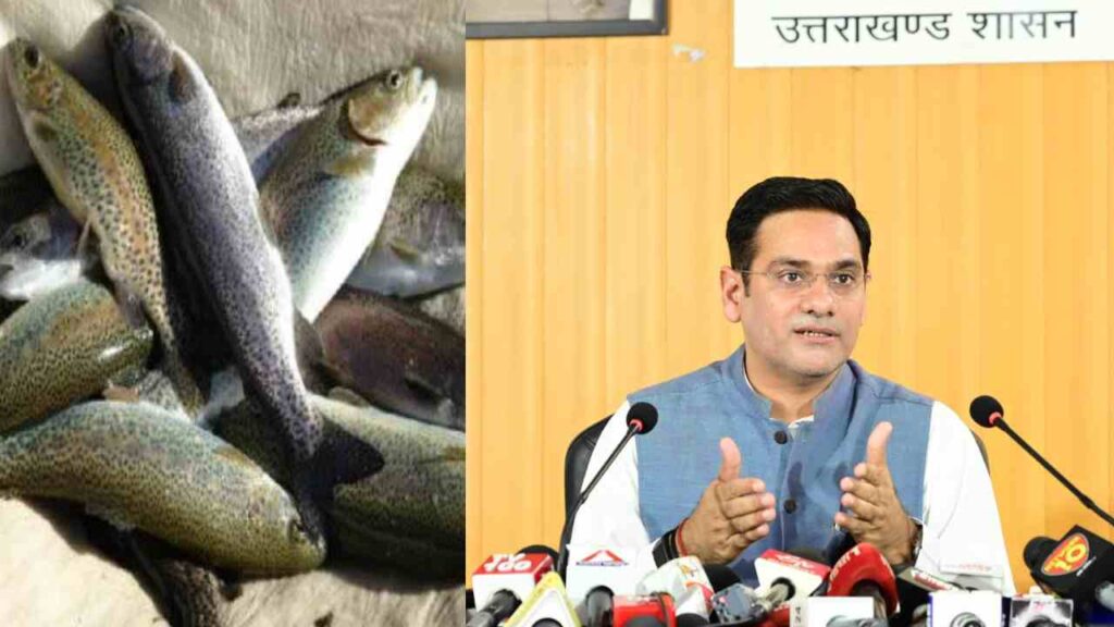 Uttarakhand Exports Rainbow Trout Fish|Live Update Hindi Newsl Newstrack Hindi Samachar | Uttarakhand News: Trout fish from Uttarakhand reached Nepal in the international market. News Track in Hindi