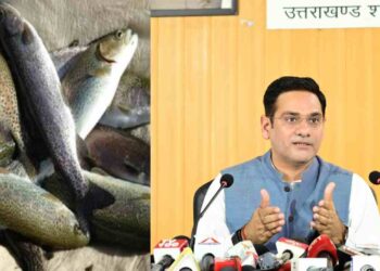Uttarakhand Exports Rainbow Trout Fish|Live Update Hindi Newsl Newstrack Hindi Samachar | Uttarakhand News: Trout fish from Uttarakhand reached Nepal in the international market. News Track in Hindi