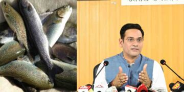 Uttarakhand Exports Rainbow Trout Fish|Live Update Hindi Newsl Newstrack Hindi Samachar | Uttarakhand News: Trout fish from Uttarakhand reached Nepal in the international market. News Track in Hindi