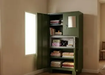 Vastu Shastra Tips: Do you also keep cash in your cupboard? Due to these 3 Vastu mistakes, money does not stay in the house, know the right way.