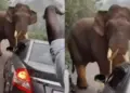 Viral Video: Elephant's orgy, Gajan broke the wall and entered the house, then see what happened
