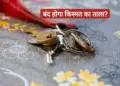Where to keep the house keys? Know the right place and rules of Vaastu, otherwise positive energy may get spoiled.
