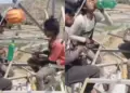 Workers eating food while sitting on an iron structure hundreds of feet high, people said – example of courage