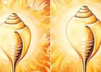 Conch shell symbol of culture and faith