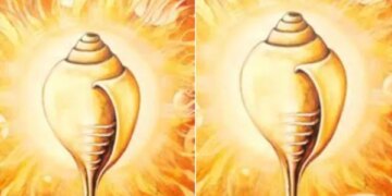 Conch shell symbol of culture and faith