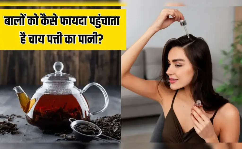 Are you troubled by gray hair? This easy method of washing hair with tea leaves can show results in a few days.