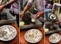 Before drinking tea outside, watch this video, you will hesitate after seeing the heap of flies.