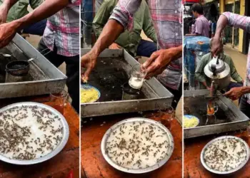 Before drinking tea outside, watch this video, you will hesitate after seeing the heap of flies.