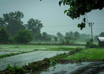 Big weather update! There is a possibility of heavy rain in the next one week, farmers should do this work now to save the crop.