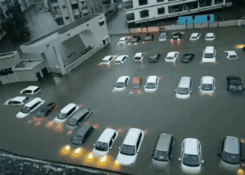 Cars became boats, Gujarat became water-water! Army-NDRF rescued 1200 people safely- VIDEO