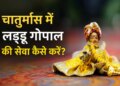 Chaturmas 2026: Rules of serving Laddu Gopal change in Chaturmas, know the correct method of bathing, clothes, enjoyment and rest.