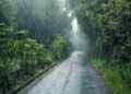 Chhattisgarh Weather Update| Chhattisgarh Rain Alert| Heavy Rain Chhattisgarh | Monsoon becomes active in Chhattisgarh, heavy rain expected for next 7 days; Farmers and common people will get relief. News Track in Hindi