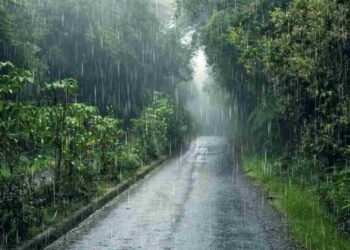 Chhattisgarh Weather Update| Chhattisgarh Rain Alert| Heavy Rain Chhattisgarh | Monsoon becomes active in Chhattisgarh, heavy rain expected for next 7 days; Farmers and common people will get relief. News Track in Hindi