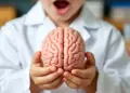 Children Brain Health: Why is children's focus becoming weak? Know its causes, symptoms and easy ways of prevention from experts