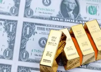Country's foreign exchange reserves will get a big boost, 13 years old record will be broken in 45 days