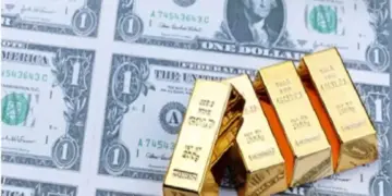 Country's foreign exchange reserves will get a big boost, 13 years old record will be broken in 45 days