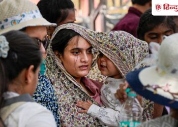 Deadly heat in Chhattisgarh, animals and birds dying; 3 day thunderstorm warning