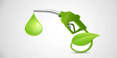 E20 petrol saves Rs 1.90 lakh crore foreign exchange, ethanol blending global practice: Center