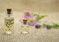 Essential Oil Benefits: Use these 5 essential oils for positive energy and happiness at home, know the benefits