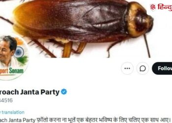 Fact Check: What is CJP's official X handle? Fake account increases the problem of cockroaches, National Hindi News