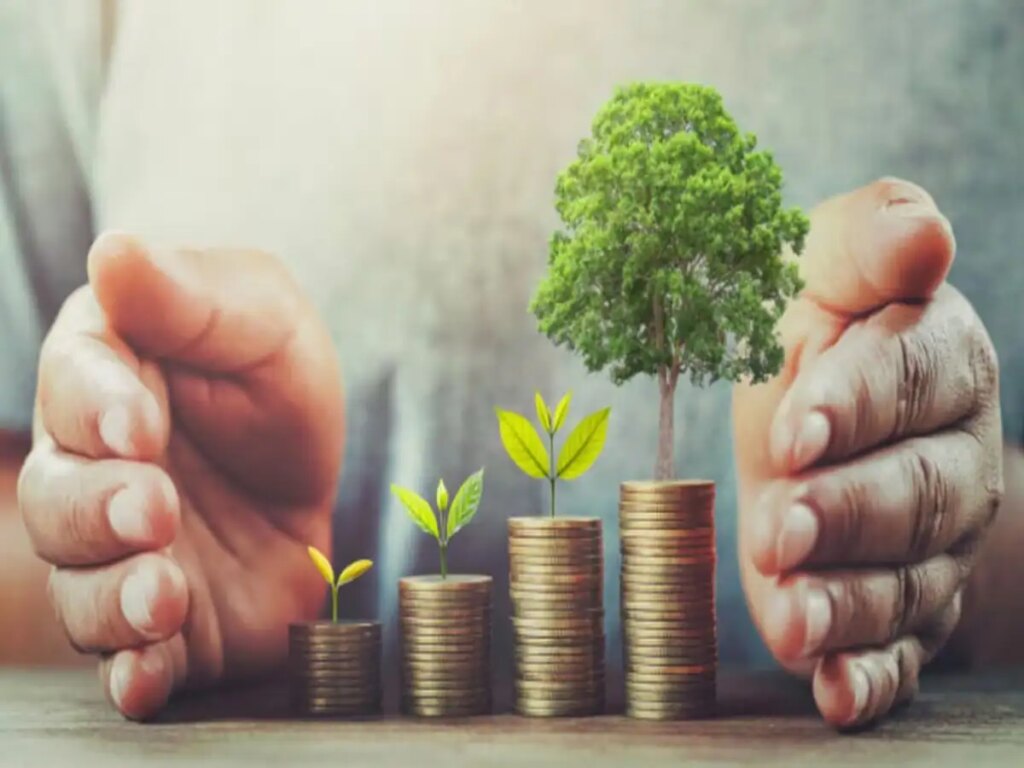 Feng Shui Tips for Money: Keep these auspicious things in the house, according to Feng Shui, wealth and prosperity can increase.