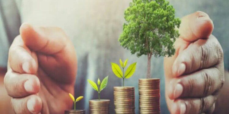 Feng Shui Tips for Money: Keep these auspicious things in the house, according to Feng Shui, wealth and prosperity can increase.