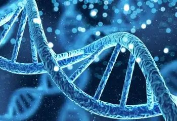 Government amended drugs rules to regulate advanced cell and gene therapy.