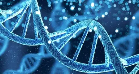 Government amended drugs rules to regulate advanced cell and gene therapy.