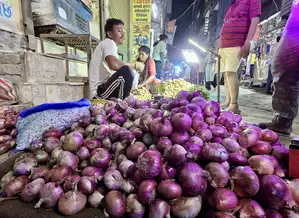 Government increased onion purchase price by 13 percent, now it will be purchased from farmers at Rs 2,125 per quintal.