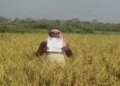 Government issued 25.89 crore soil health cards, natural farming reached 8.80 lakh hectares