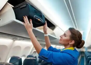 IndiGo launches 'IndiGo Lite' fare, know in the video, you will get cheap air travel with only 7 kg hand bag