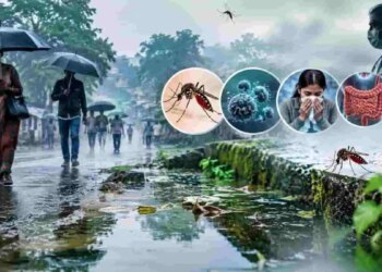 Monsoon Health Alert: From dengue to typhoid, adopt these easy measures to avoid these 7 diseases during the rainy season.