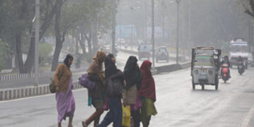 Monsoon becomes active again in Madhya Pradesh, alert of rain and thunder in many districts