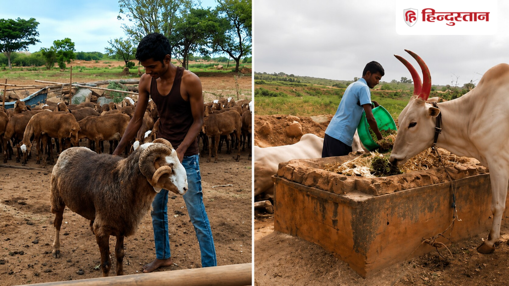 NEET: Son of a disabled farmer got excellent rank in NEET by grazing sheep, sweating in the fields, studying under solar lamp, Career Hindi News