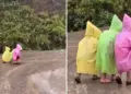 Nepal's school children's show with colorful raincoats goes viral, you will smile after watching VIDEO