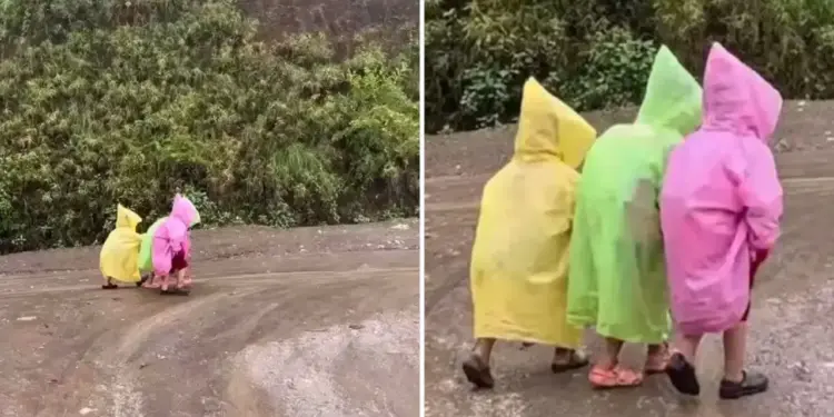 Nepal's school children's show with colorful raincoats goes viral, you will smile after watching VIDEO