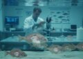 New danger in the marine world! Spreading cancer found in fish, even scientists were surprised
