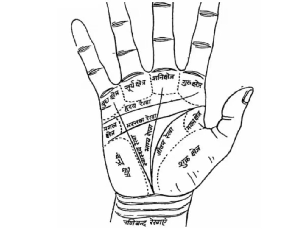 Palmistry: Do these lines and mountains of the palm indicate the signs of a government job? Know what is believed in palmistry