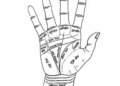 Palmistry: Do these lines and mountains of the palm indicate the signs of a government job? Know what is believed in palmistry