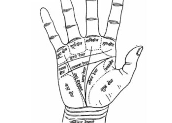 Palmistry: Do these lines and mountains of the palm indicate the signs of a government job? Know what is believed in palmistry