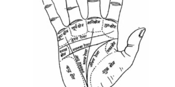 Palmistry: Do these lines and mountains of the palm indicate the signs of a government job? Know what is believed in palmistry