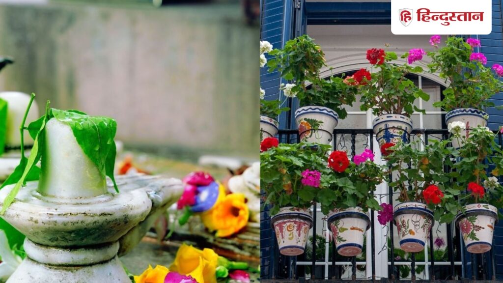 Plant these 5 plants in the balcony before Sawan, they are considered favorites of Lord Shiva.