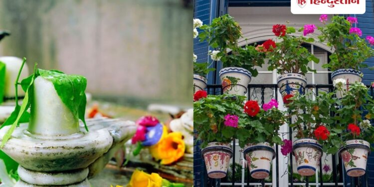 Plant these 5 plants in the balcony before Sawan, they are considered favorites of Lord Shiva.