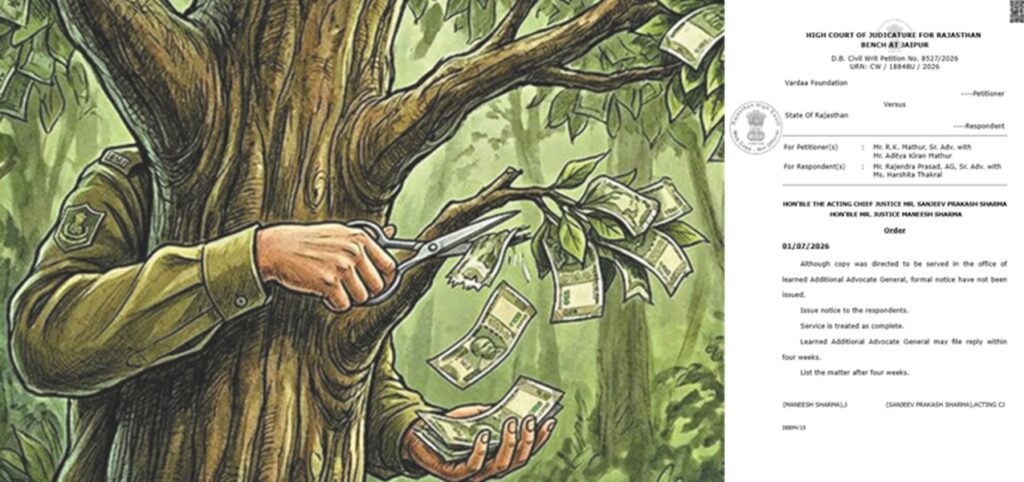 Plantation scam in Alwar Forest Division: Rajasthan High Court strict, notice issued to state government demanding CBI investigation