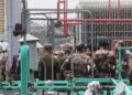 Pune accident: Indian Army also involved in relief work, many people feared trapped (Lead-1)
